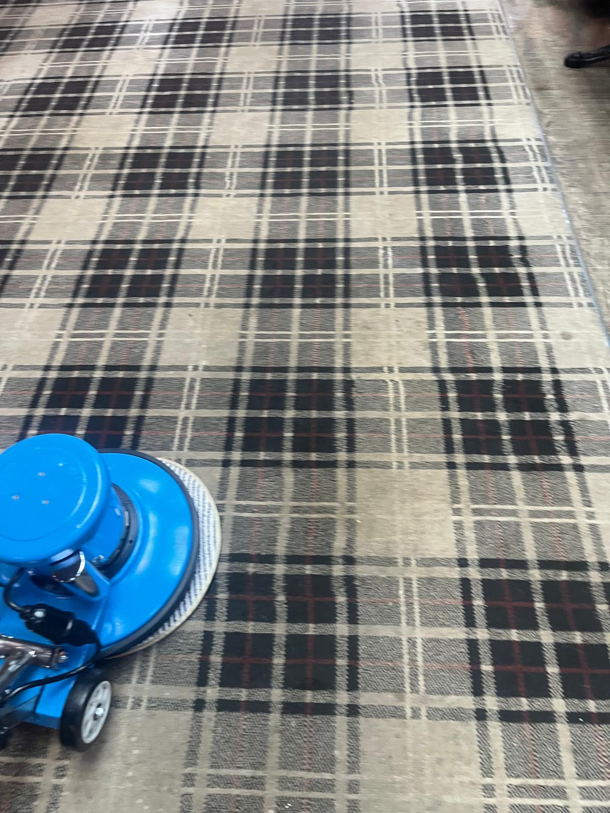 Carpet cleaning before and after photo 18