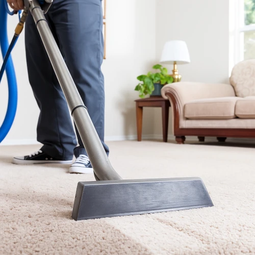 Steam cleaning for hygienic results